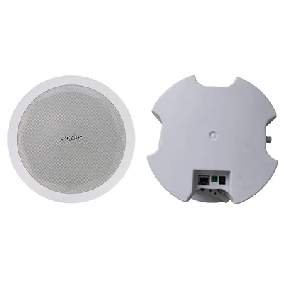 Altoparlante da soffitto IP